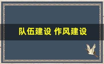 队伍建设 作风建设 不_队伍建设不